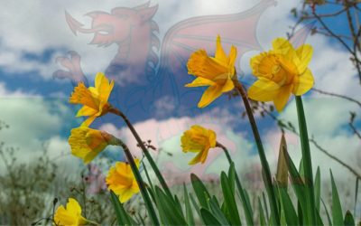 A Little Springtime Wellbeing